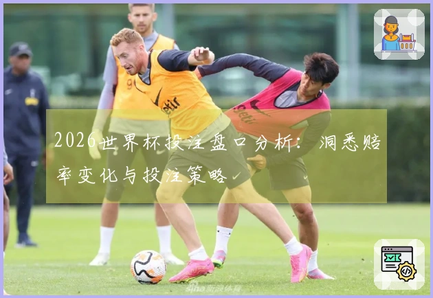 2026世界杯投注盘口分析：洞悉赔率变化与投注策略