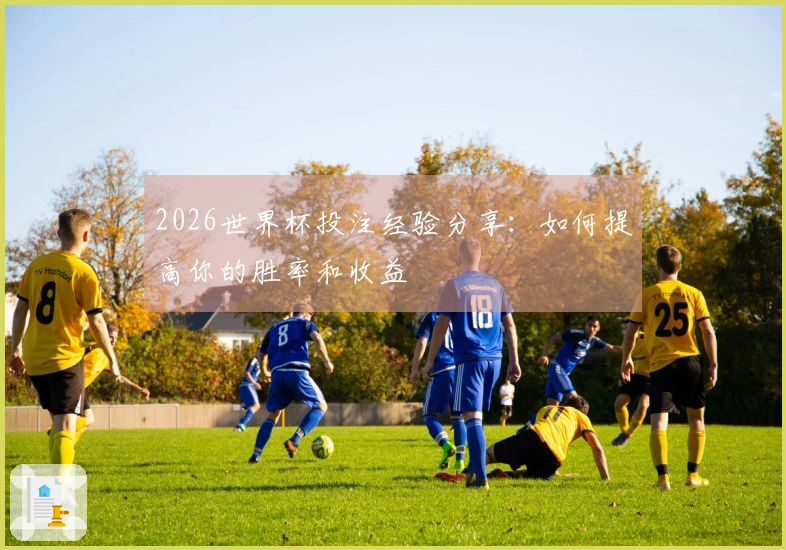 2026世界杯投注经验分享：如何提高你的胜率和收益