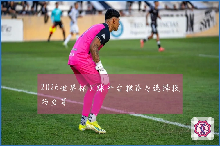 2026世界杯买球平台推荐与选择技巧分享