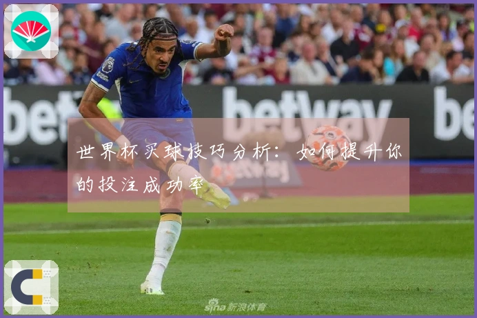 世界杯买球技巧分析：如何提升你的投注成功率