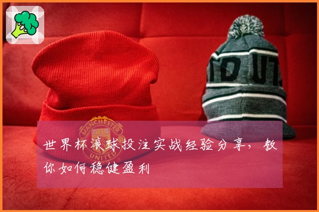 世界杯滚球投注实战经验分享，教你如何稳健盈利