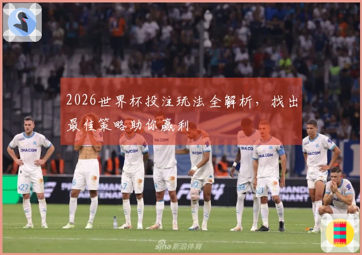 2026世界杯投注玩法全解析，找出最佳策略助你赢利