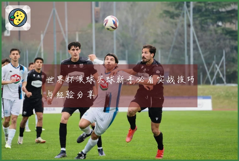 世界杯滚球买球新手必看实战技巧与经验分享