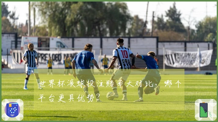 世界杯滚球投注赔率大对比，哪个平台更具优势？