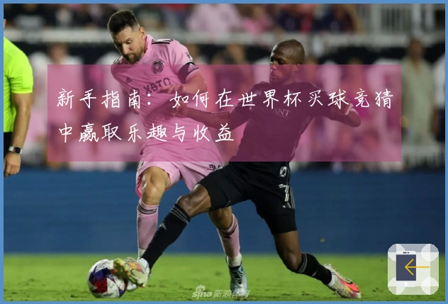 新手指南：如何在世界杯买球竞猜中赢取乐趣与收益