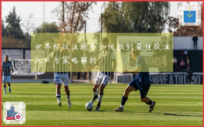 世界杯投注新手如何找到最佳投注入口与策略解析